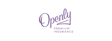 Openly logo